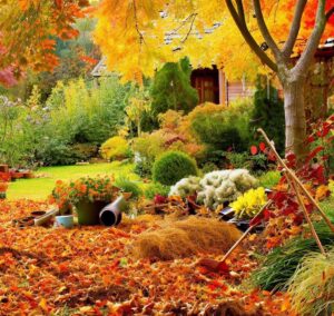 Autumn (Fall): Preparing the Garden for Changing Seasons
